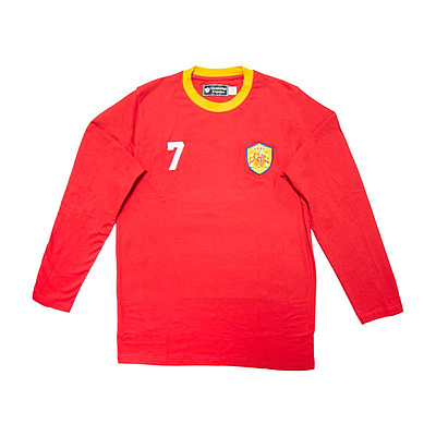 INTERNATIONAL FOOTBALL SHIRTS - SUBLIMATION SPAIN F/SLV