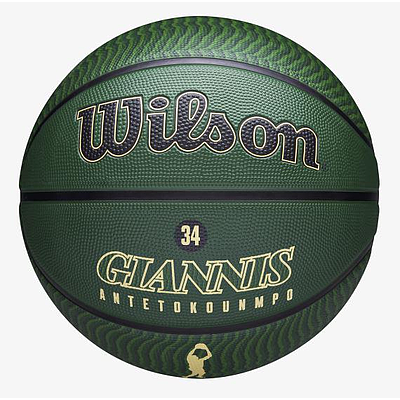 WS NBA PLAYER ICON OUTDOOR BSKT GIANNIS 7-