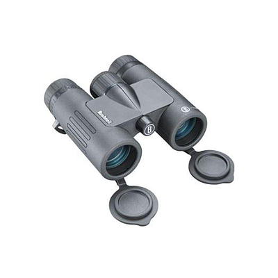 BUSHNELL 8X32 BLACK ROOF PRISM FMC, WP/FP, TWIST-UP EYECUPS, BOX 6L-